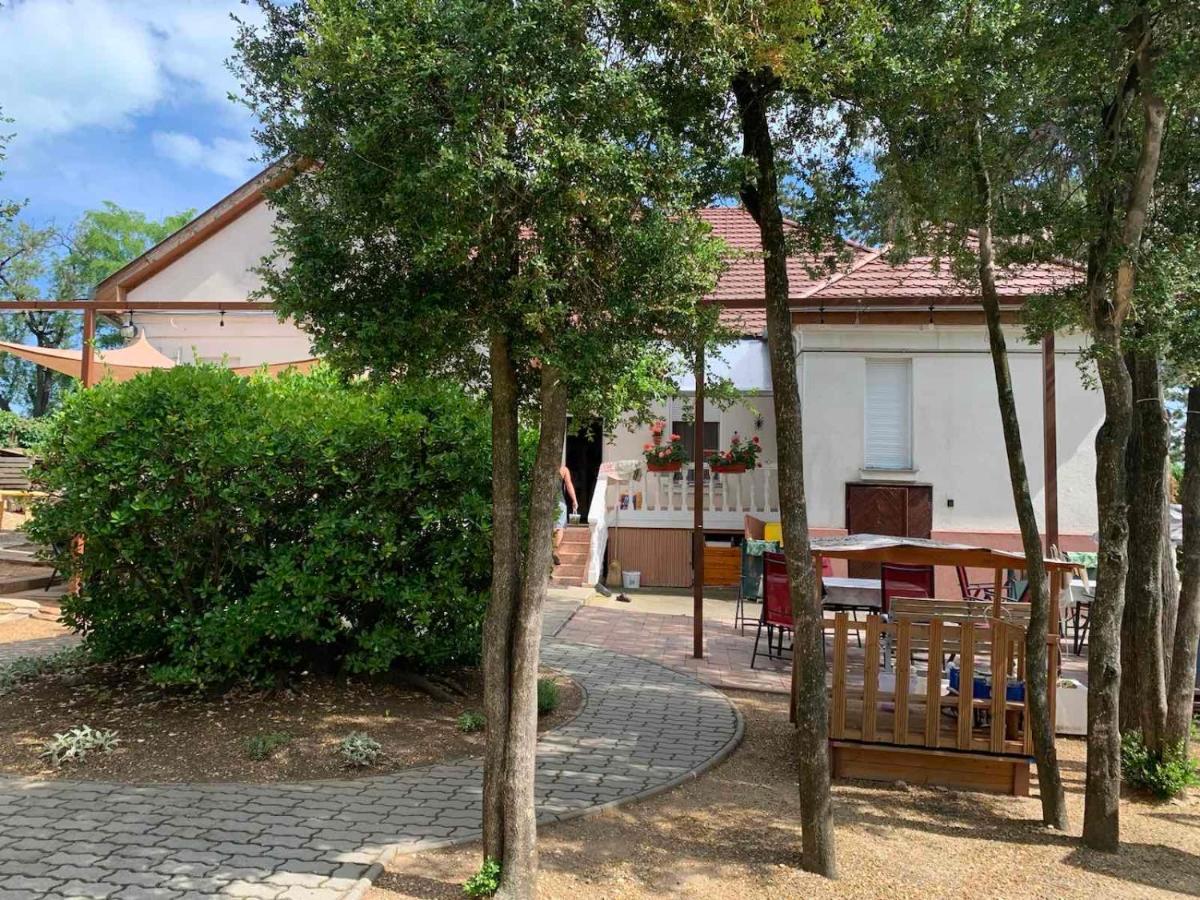 Edit Villa Balatonfüred Dış mekan fotoğraf
